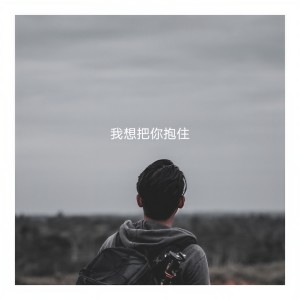 Listen to 紧紧把你抱住 song with lyrics from 林痕