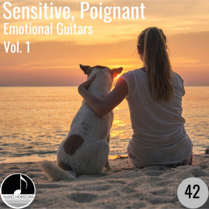 อัลบัม Sensitive, Poignant 42 Emotional Guitars Vol 1 ศิลปิน James Lum