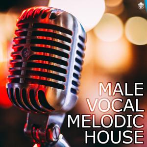 Dogena的專輯Male Vocal Melodic House