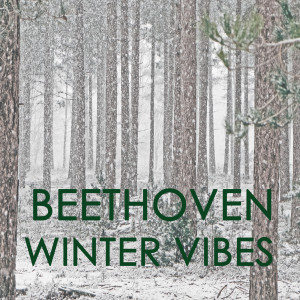 Beethoven的專輯Beethoven  - Winter Vibes