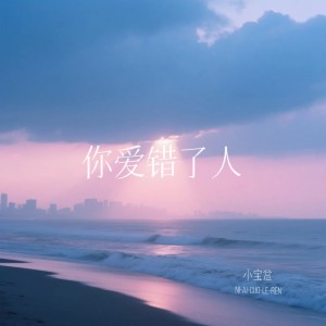 Listen to 你爱错了人 (和声伴奏) song with lyrics from 小宝总