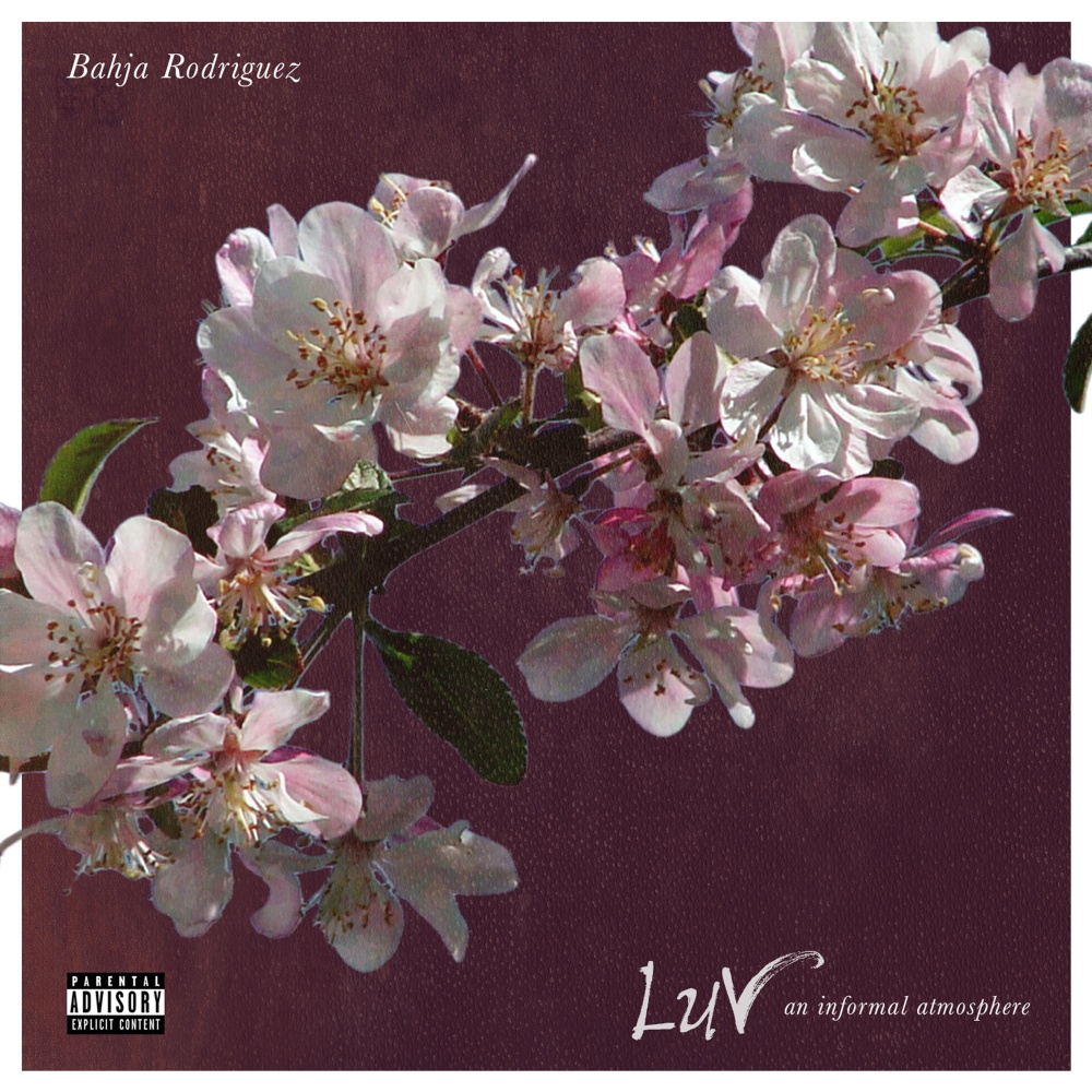 Say It (feat. Kodie Shane) (Explicit)