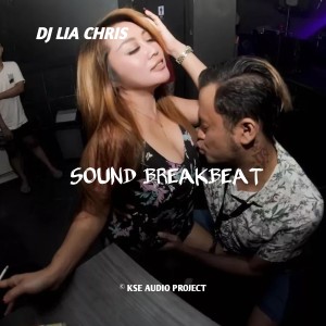 Dj Lia Chris的專輯SOUND BREAKBEAT