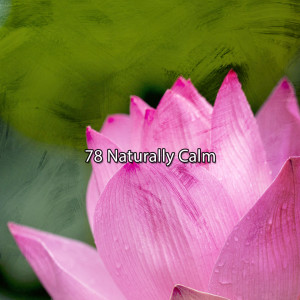 Smart Baby Lullaby的专辑78 Naturally Calm