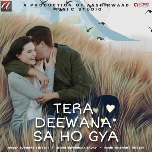 Album Tera Deewana Sa Ho Gya from 