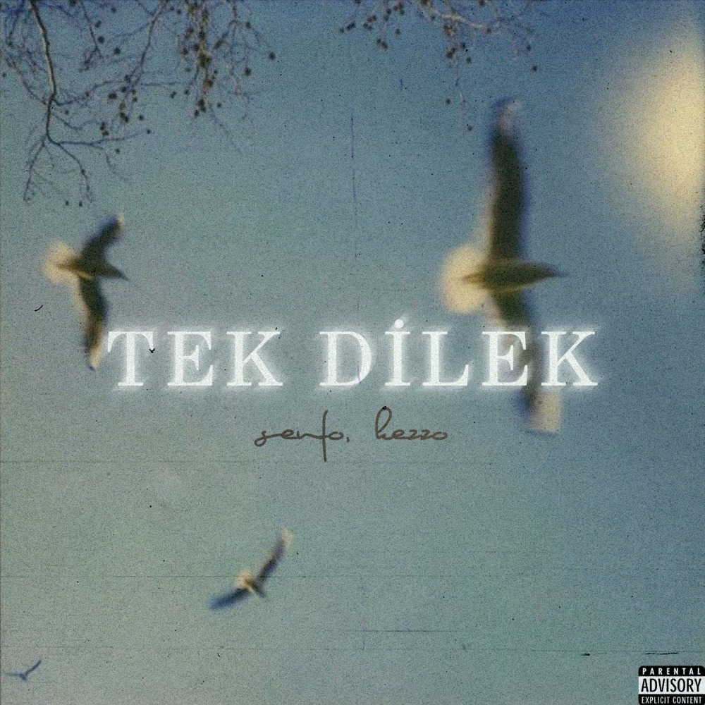 Tek Dilek (Explicit)