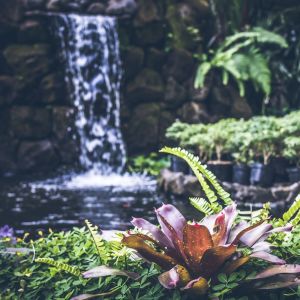收聽Relaxing Music Therapy的Resonance of the Earth歌詞歌曲