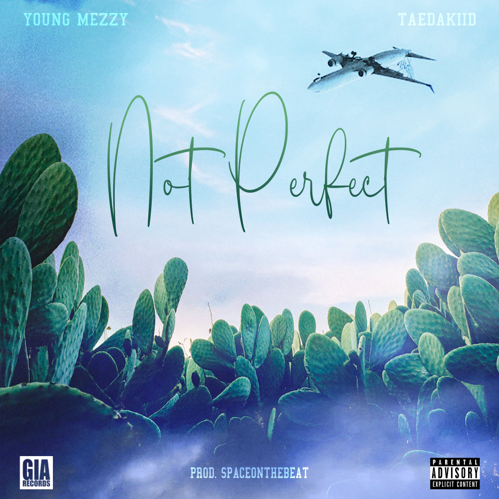Not Perfect (Explicit)