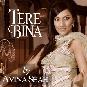 收听Avina Shah的Tere Bina歌词歌曲