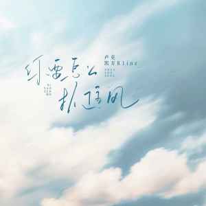 Listen to 你要怎么抓住风 song with lyrics from 凯万K1inz