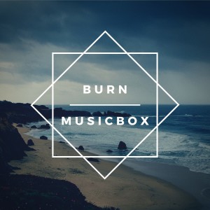 Album Burn Musicbox from DjMusicbox