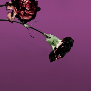 收聽John Legend的You & I (Nobody in the World) (R3hab Remix - Radio Edit)歌詞歌曲