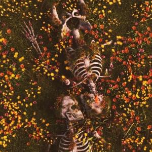 收聽Whyte!的DREAMS歌詞歌曲