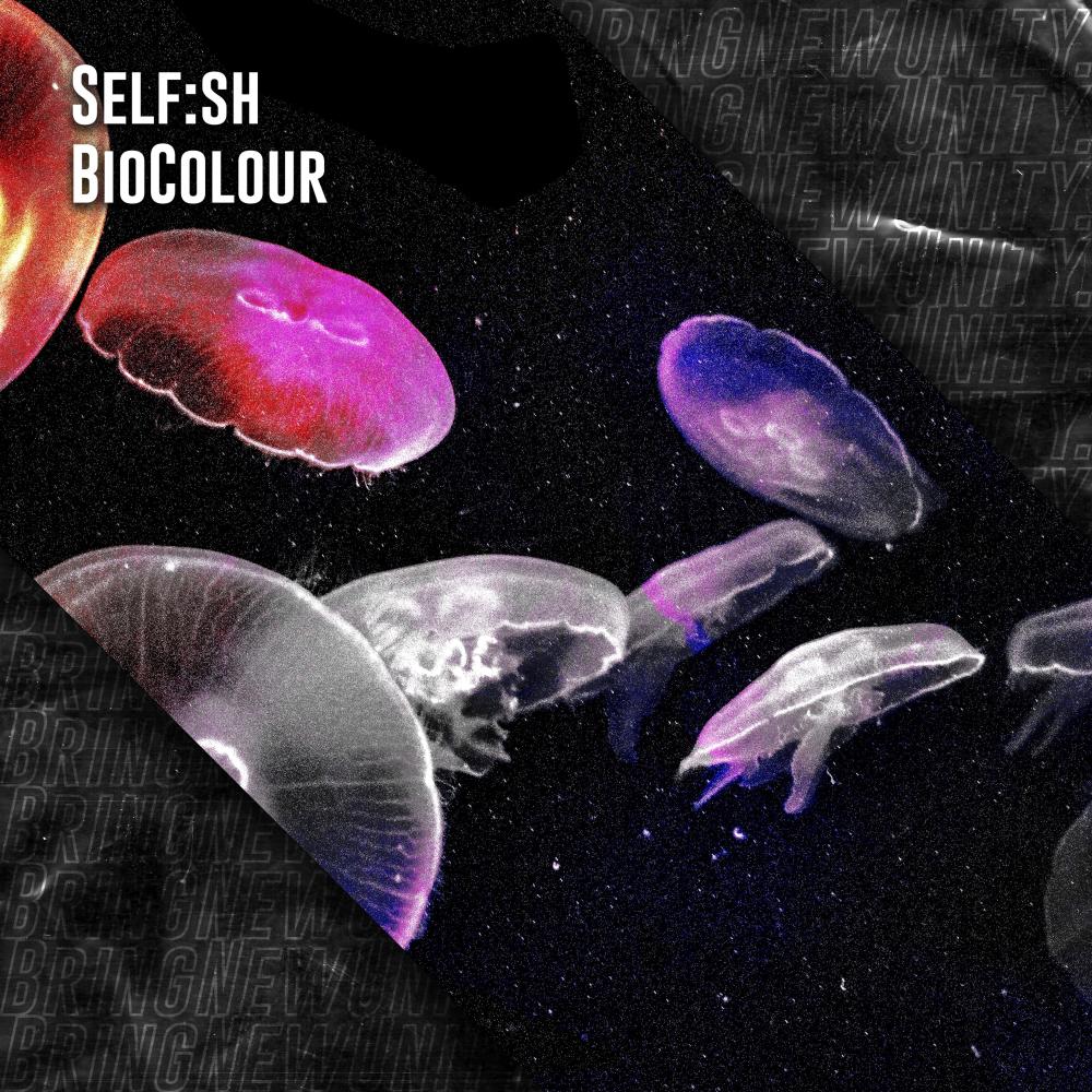 Biocolour (HOTINGA Remix)