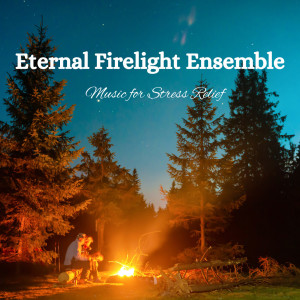 อัลบัม Eternal Firelight Ensemble: Music for Stress Relief ศิลปิน Bubbled White Noise Fire Sounds