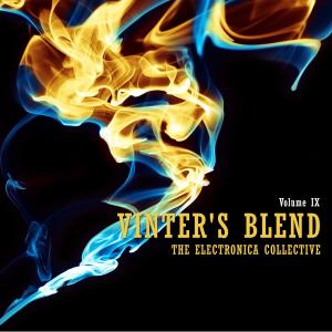 อัลบัม Vinter's Blend: The Electronica Collective, Vol. 9 ศิลปิน Various