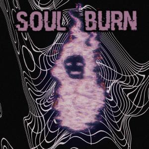 Album Soul Burn (Lose it All) (Explicit) from Walls