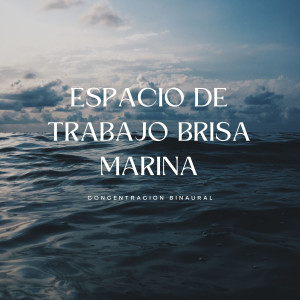 Ondas cerebrales binaurales的專輯Espacio De Trabajo Brisa Marina: Concentración Binaural