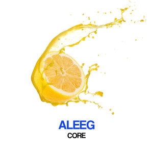 Core dari Aleeg