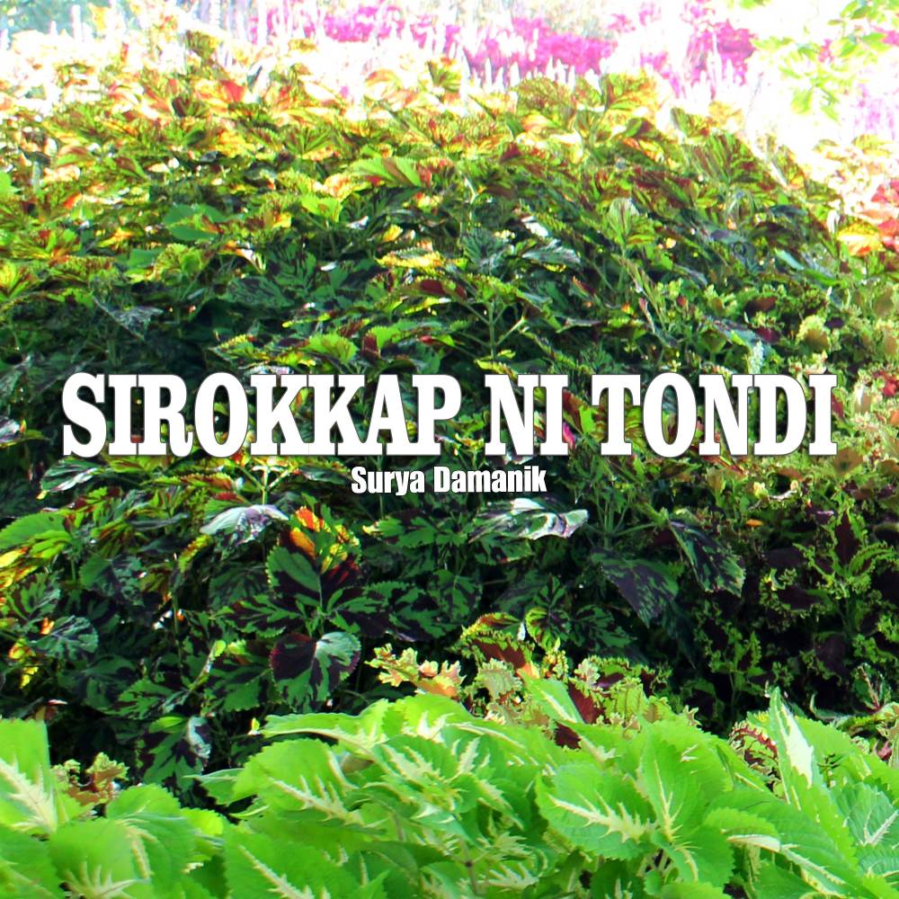 SIROKKAP NI TONDI