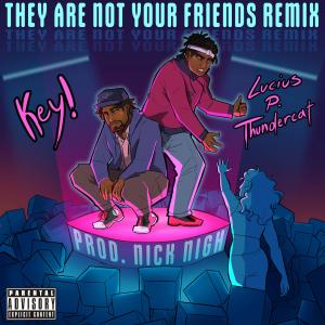 They are not your Friends (feat. Nick Nigh) [Remix]