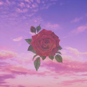 Tahree-Amir的專輯Woz