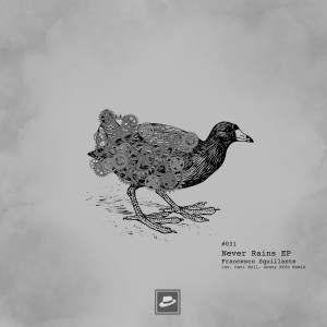 Dengarkan lagu Never Rains (Original Mix) nyanyian Francesco Squillante dengan lirik
