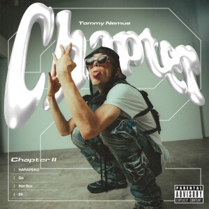 Listen to HARAPEKO (Explicit) song with lyrics from Tommy Nemus