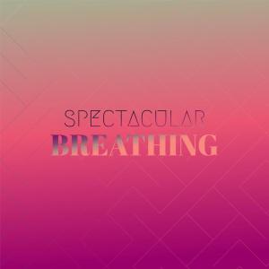 Listen to Cape Engine song with lyrics from Stevi Decat