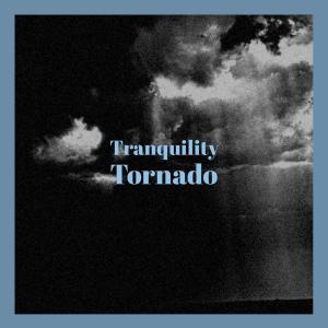 Various Artists的專輯Tranquility Tornado