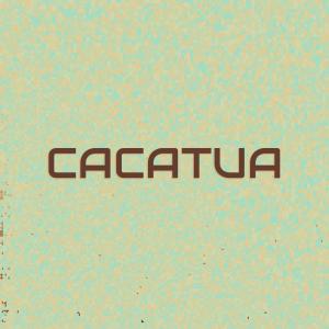 Cacatua dari Various