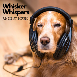 อัลบัม Whisker Whispers: Ambient Music ศิลปิน Pure Ambient Music