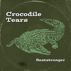 ดาวน์โหลดและฟังเพลง Plagiarism พร้อมเนื้อเพลงจาก Beatstronger