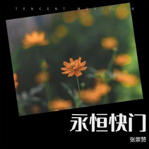 Album 永恒快门 from 张崇赞