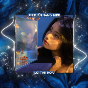 Tipss的專輯Lối Tàn Hoa (Remix)