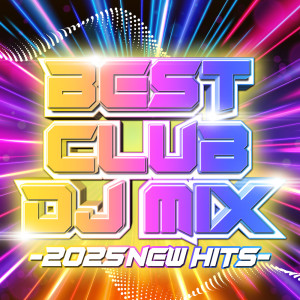 收聽DJ B-SUPREME的Don't You Worry Child (PARTY HITS EDIT) (mixed)歌詞歌曲