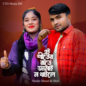 Shahin Murad的专辑Ei Shiter Rate Jamai Na Thakle