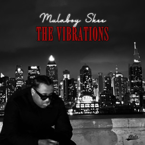 Album The Vibrations (Explicit) from MulaBoy Skee