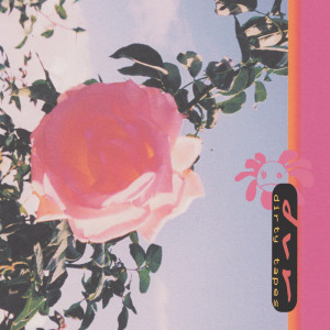 收聽not dvr的stupid (Explicit)歌詞歌曲