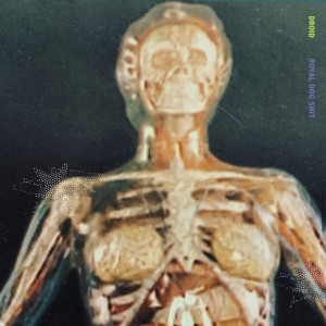 ดาวน์โหลดและฟังเพลง Internal Maze (Explicit) พร้อมเนื้อเพลงจาก Droid