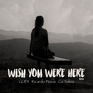 Wish You Were Here (Remix) dari Gudi