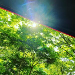 Listen to Sunset after rain song with lyrics from 감성사진관