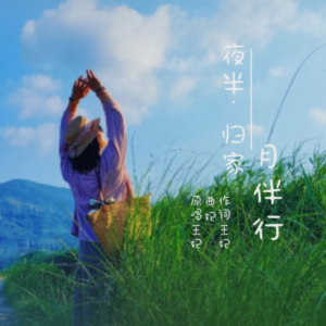 Album 夜半归家月伴行 from 王妃