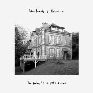 Album The Epidemiologist from Peter Doherty