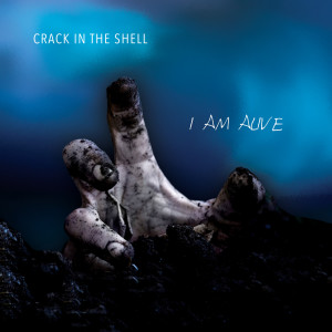 收聽Crack in the Shell的Miss Me歌詞歌曲