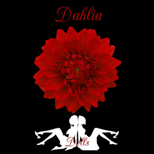 Album Dahlia from Dolls