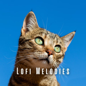 Lofi Melodies: Ambient Sounds for Serenading Cats