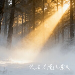 Album 失去才懂这意义 from 魏传迪