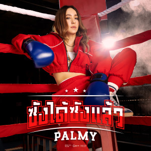 อัลบัม ซังได้ซังแล้ว (ซนซน 40ปี GMM GRAMMY) - Single ศิลปิน Palmy