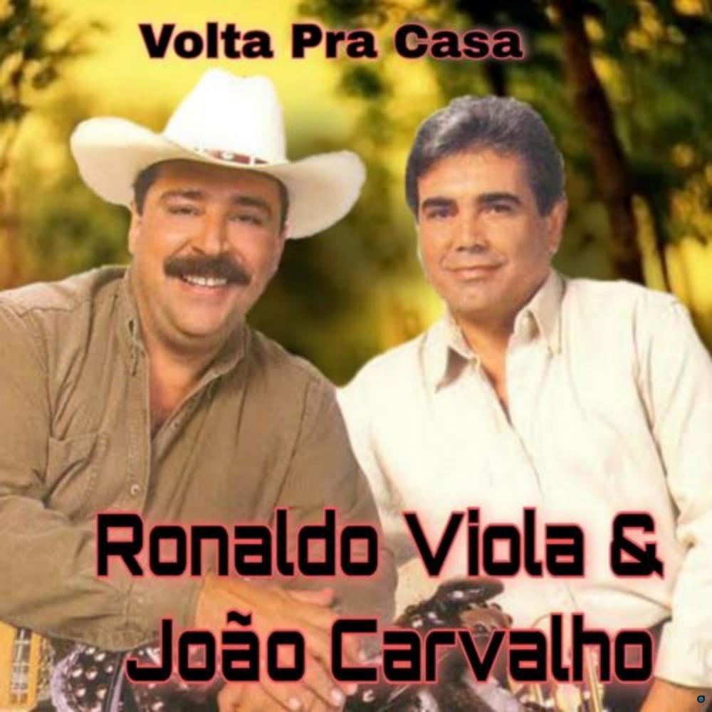 Volta pra Casa
